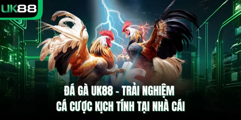 đá gà UK88